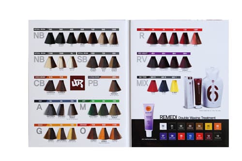 Two folder hair color swatch book_color design hair color chart